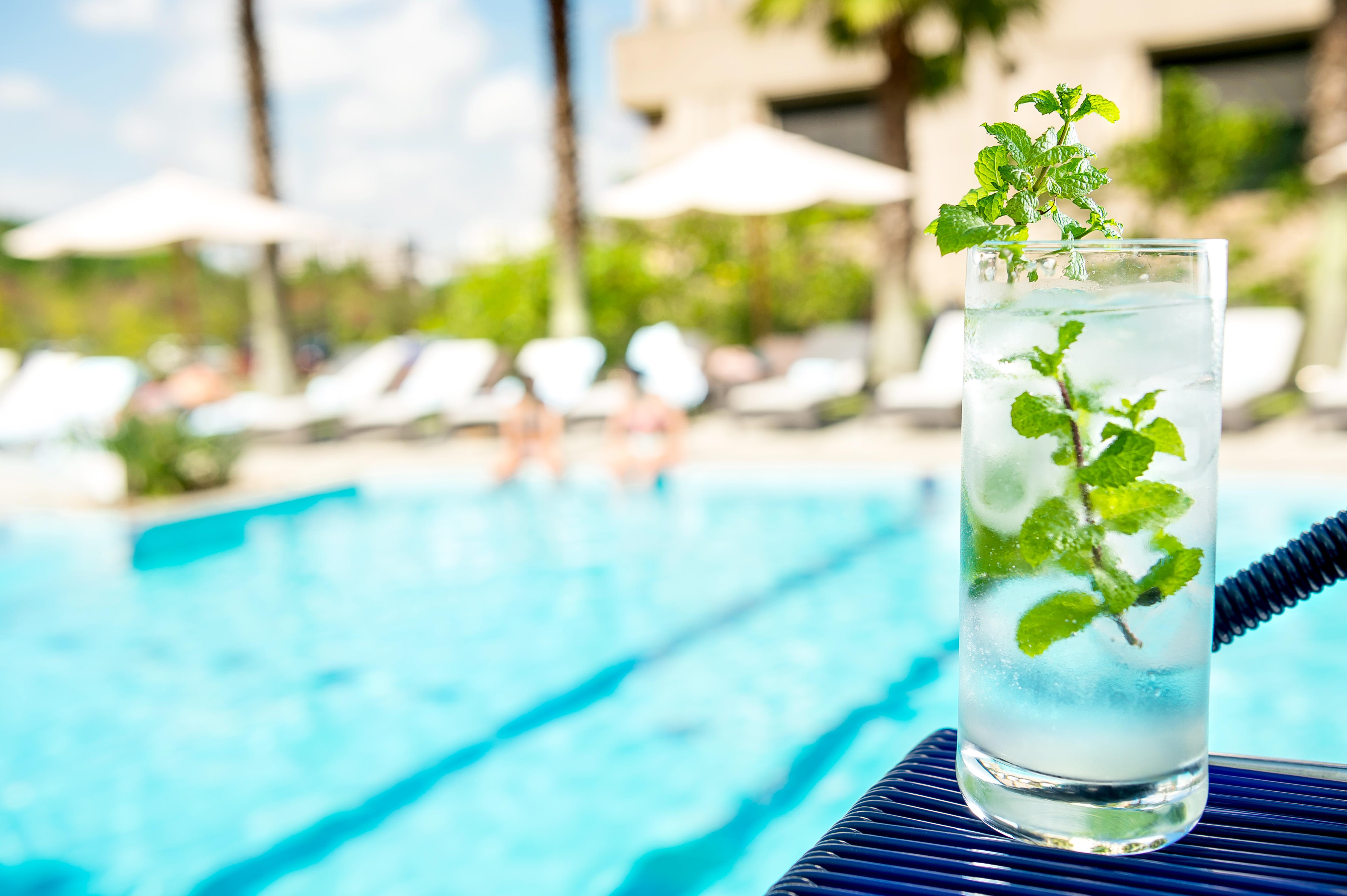 Hotel Pullman Sao Paulo Guarulhos Airport Zewnętrze zdjęcie A glass of water with mint leaves
